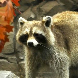 Meet your Posher, Gary